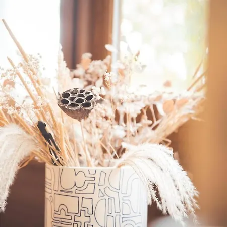 Appartement Grand Rénové, Confort Nancy