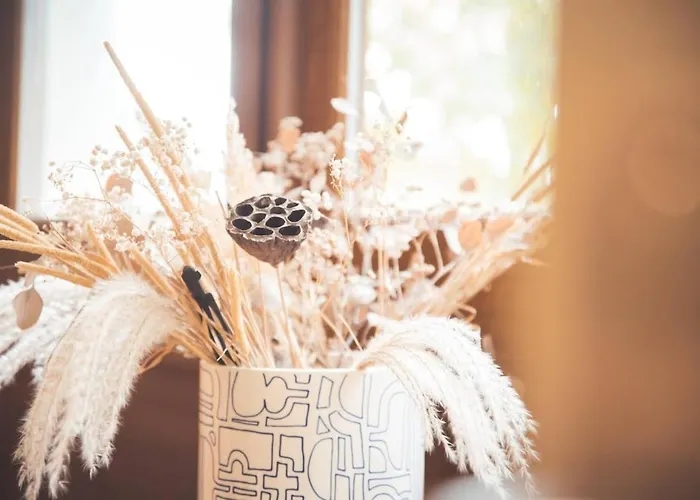 Apartmán Grand Renove, Confort Nancy